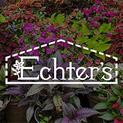 container garden