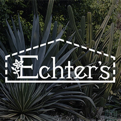 cactus and agave plants
