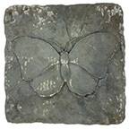 butterfly stepping stone