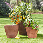 ella square planter