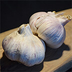 garlic bulb