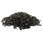 black oil sunflower seed