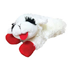 dog toy