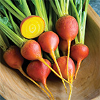 beet