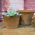 pots